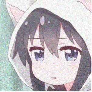 观众苏栖的头像